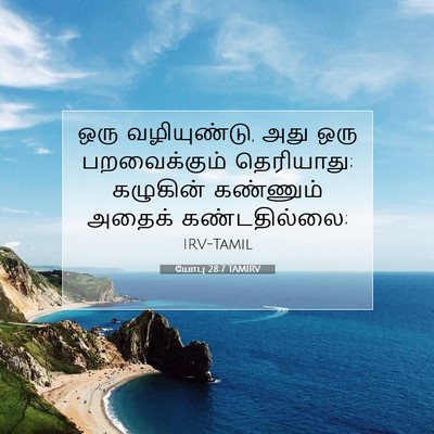 Picture 07 - யோபு 28:7 TAMIRV - ஒரு வழியுண்டு, அது - Bible Verse Picture
