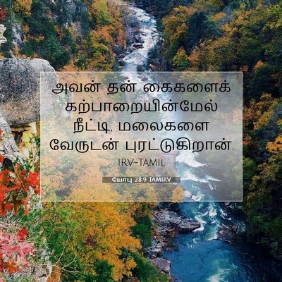 Picture 07 - யோபு 28:9 TAMIRV - அவன் தன் கைகளைக் - Bible Verse Picture
