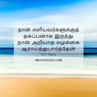 Picture 07 - யோபு 29:16 TAMIRV - நான் - Bible Verse Picture