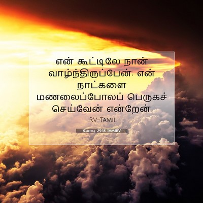 Picture 07 - யோபு 29:18 TAMIRV - என் கூட்டிலே நான் - Bible Verse Picture