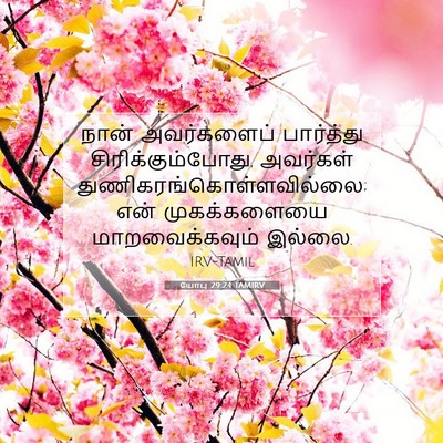 Picture 07 - யோபு 29:24 TAMIRV - நான் அவர்களைப் - Bible Verse Picture