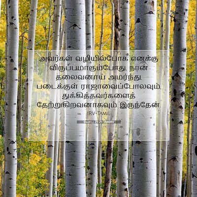 Picture 07 - யோபு 29:25 TAMIRV - அவர்கள் - Bible Verse Picture