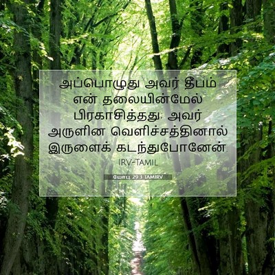 Picture 07 - யோபு 29:3 TAMIRV - அப்பொழுது அவர் - Bible Verse Picture