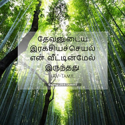 Picture 07 - யோபு 29:4 TAMIRV - தேவனுடைய - Bible Verse Picture
