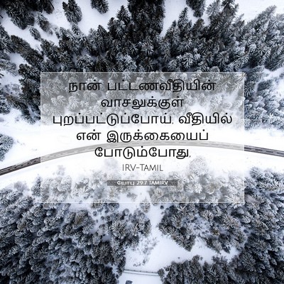 Picture 07 - யோபு 29:7 TAMIRV - நான் - Bible Verse Picture