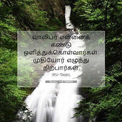 Picture 07 - யோபு 29:8 TAMIRV - வாலிபர் என்னைக் - Bible Verse Picture