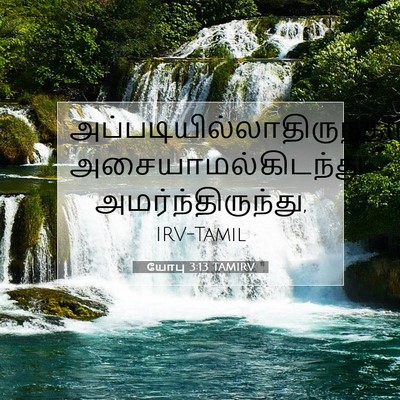 Picture 07 - யோபு 3:13 TAMIRV -  - Bible Verse Picture