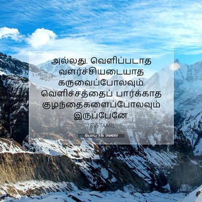 Picture 07 - யோபு 3:16 TAMIRV - அல்லது, - Bible Verse Picture