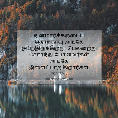 Picture 07 - யோபு 3:17 TAMIRV - துன்மார்க்கருடைய - Bible Verse Picture