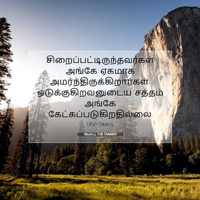 Picture 07 - யோபு 3:18 TAMIRV -  - Bible Verse Picture