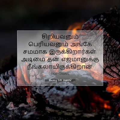 Picture 07 - யோபு 3:19 TAMIRV - சிறியவனும் - Bible Verse Picture