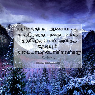 Picture 07 - யோபு 3:20 TAMIRV - மரணத்திற்கு - Bible Verse Picture