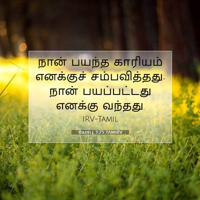 Picture 07 - யோபு 3:25 TAMIRV - நான் பயந்த - Bible Verse Picture