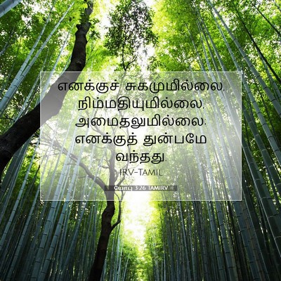 Picture 07 - யோபு 3:26 TAMIRV - எனக்குச் - Bible Verse Picture