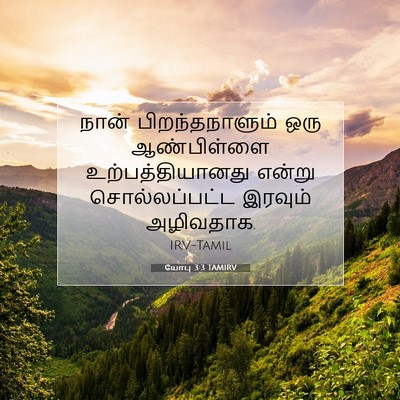 Picture 07 - யோபு 3:3 TAMIRV - நான் பிறந்தநாளும் - Bible Verse Picture