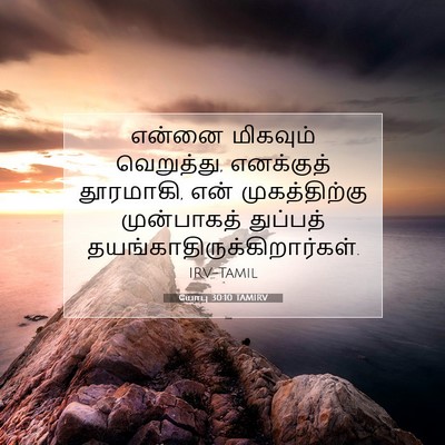 Picture 07 - யோபு 30:10 TAMIRV - என்னை மிகவும் - Bible Verse Picture