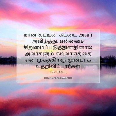 Picture 07 - யோபு 30:11 TAMIRV - நான் கட்டின கட்டை - Bible Verse Picture