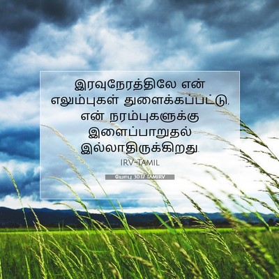 Picture 07 - யோபு 30:17 TAMIRV - இரவுநேரத்திலே என் - Bible Verse Picture