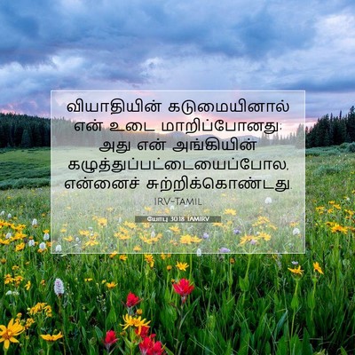 Picture 07 - யோபு 30:18 TAMIRV - வியாதியின் - Bible Verse Picture