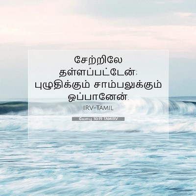 Picture 07 - யோபு 30:19 TAMIRV - சேற்றிலே - Bible Verse Picture