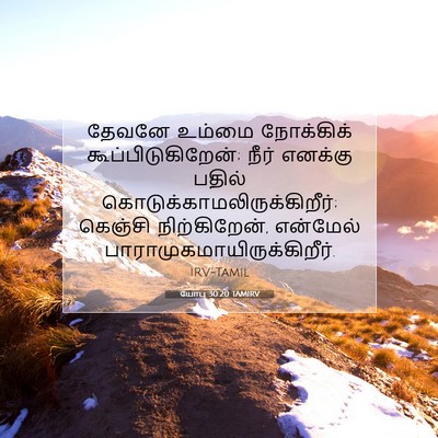 Picture 07 - யோபு 30:20 TAMIRV - தேவனே உம்மை - Bible Verse Picture