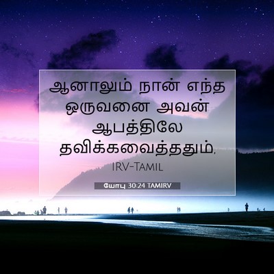 Picture 07 - யோபு 30:24 TAMIRV - ஆனாலும் நான் எந்த - Bible Verse Picture
