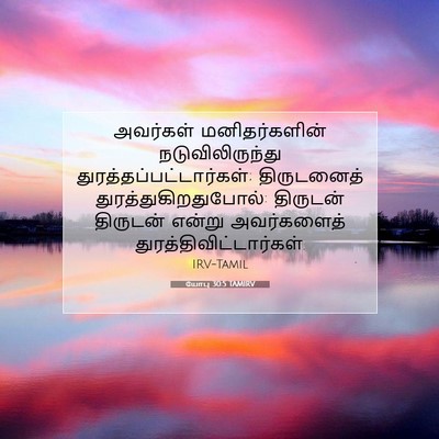 Picture 07 - யோபு 30:5 TAMIRV - அவர்கள் - Bible Verse Picture