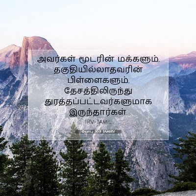 Picture 07 - யோபு 30:8 TAMIRV - அவர்கள் மூடரின் - Bible Verse Picture