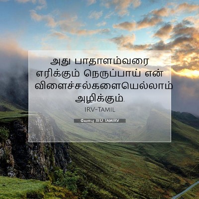 Picture 07 - யோபு 31:12 TAMIRV - அது பாதாளம்வரை - Bible Verse Picture
