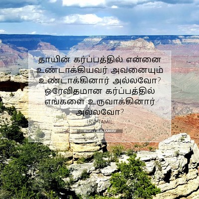 Picture 07 - யோபு 31:15 TAMIRV - தாயின் - Bible Verse Picture