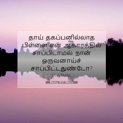 Picture 07 - யோபு 31:17 TAMIRV - தாய் தகப்பனில்லாத - Bible Verse Picture