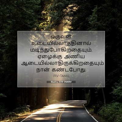 Picture 07 - யோபு 31:19 TAMIRV - ஒருவன் - Bible Verse Picture