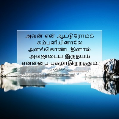 Picture 07 - யோபு 31:20 TAMIRV - அவன் என் - Bible Verse Picture