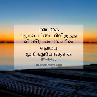 Picture 07 - யோபு 31:22 TAMIRV - என் கை - Bible Verse Picture