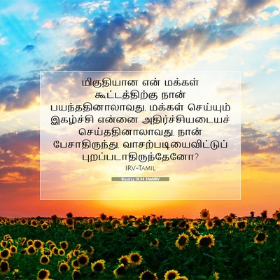Picture 07 - யோபு 31:34 TAMIRV - மிகுதியான என் - Bible Verse Picture