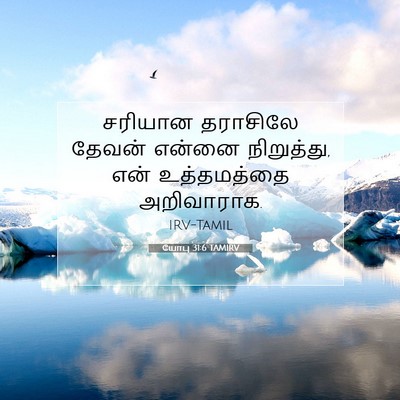 Picture 07 - யோபு 31:6 TAMIRV - சரியான தராசிலே - Bible Verse Picture