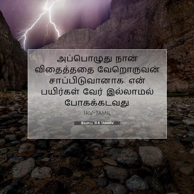 Picture 07 - யோபு 31:8 TAMIRV - அப்பொழுது நான் - Bible Verse Picture