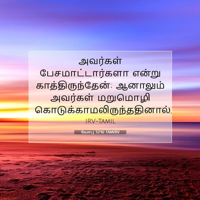 Picture 07 - யோபு 32:16 TAMIRV - அவர்கள் - Bible Verse Picture
