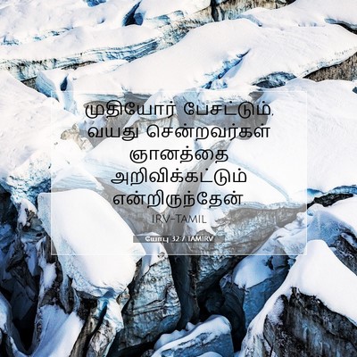 Picture 07 - யோபு 32:7 TAMIRV - முதியோர் - Bible Verse Picture