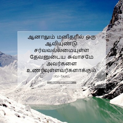 Picture 07 - யோபு 32:8 TAMIRV - ஆனாலும் மனிதரில் - Bible Verse Picture
