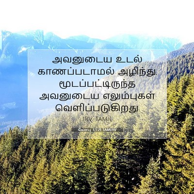 Picture 07 - யோபு 33:21 TAMIRV - அவனுடைய உடல் - Bible Verse Picture