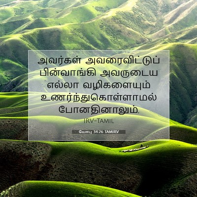 Picture 07 - யோபு 34:26 TAMIRV - அவர்கள் - Bible Verse Picture