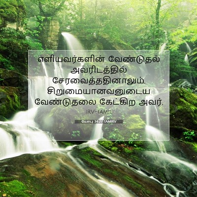 Picture 07 - யோபு 34:27 TAMIRV - எளியவர்களின் - Bible Verse Picture