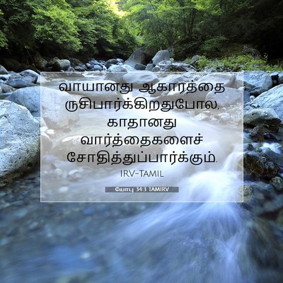 Picture 07 - யோபு 34:3 TAMIRV - வாயானது ஆகாரத்தை - Bible Verse Picture