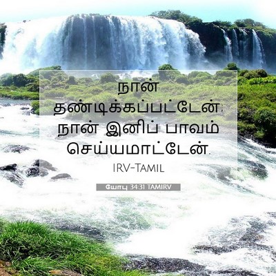 Picture 07 - யோபு 34:31 TAMIRV - நான் - Bible Verse Picture