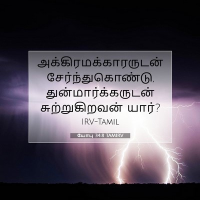 Picture 07 - யோபு 34:8 TAMIRV -  - Bible Verse Picture