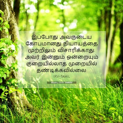 Picture 07 - யோபு 35:15 TAMIRV - இப்போது அவருடைய - Bible Verse Picture
