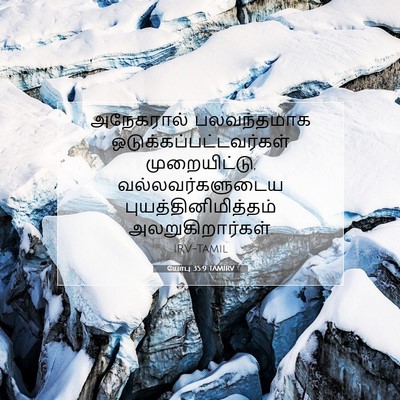 Picture 07 - யோபு 35:9 TAMIRV - அநேகரால் - Bible Verse Picture