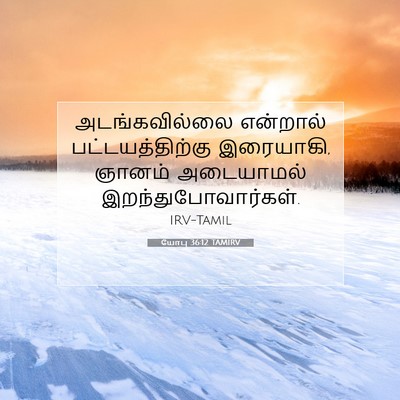 Picture 07 - யோபு 36:12 TAMIRV - அடங்கவில்லை - Bible Verse Picture