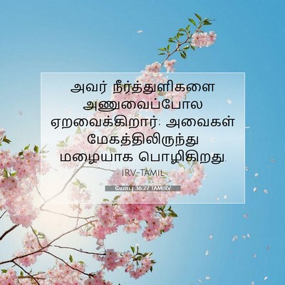 Picture 07 - யோபு 36:27 TAMIRV - அவர் - Bible Verse Picture
